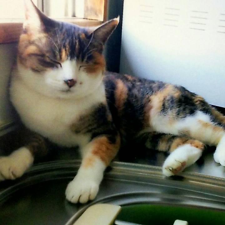 81e7b10a bacc 41ec 8421 884db5702e2b