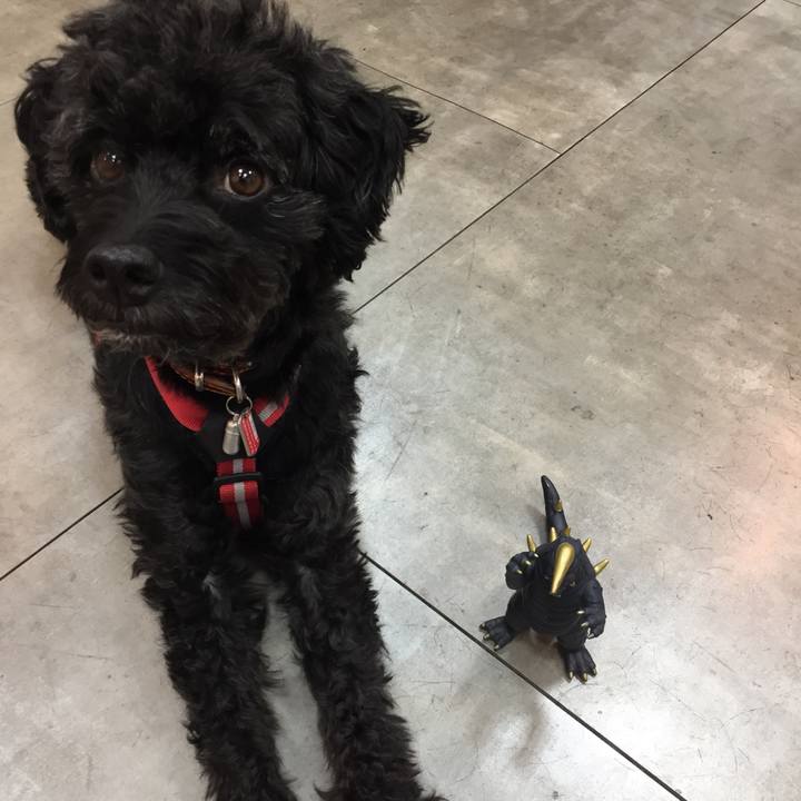 81e7bd19 7e12 4768 a343 4f551964ecf6