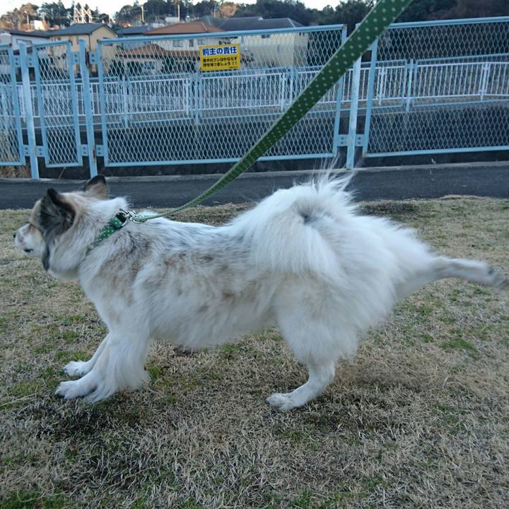 81e7e789 3c91 43f4 a742 69f39c20e076