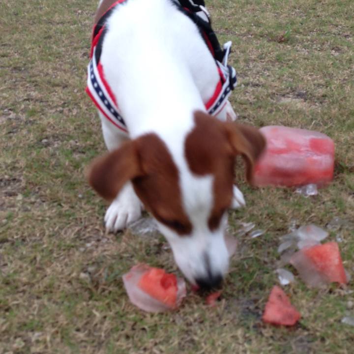 81e82cc0 d279 4f45 9201 5f749e13e971