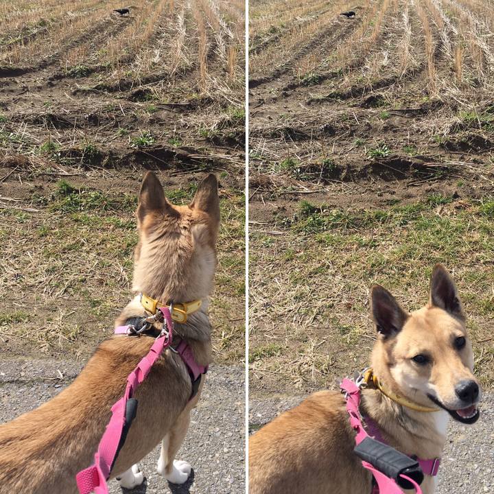 81e84918 966e 4c45 a46c 91ec663436df