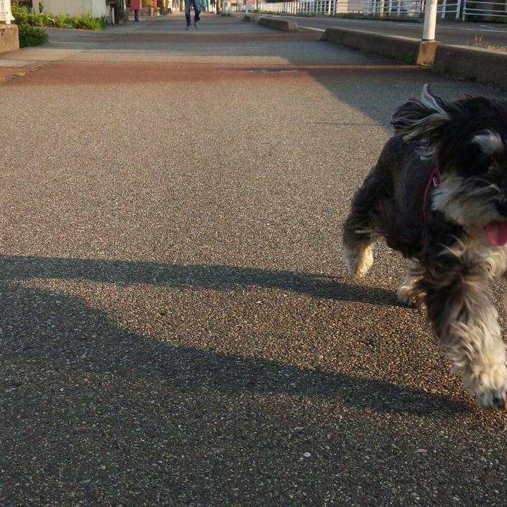 81e8bb0e fbfd 44e9 af4e d73cb136f830