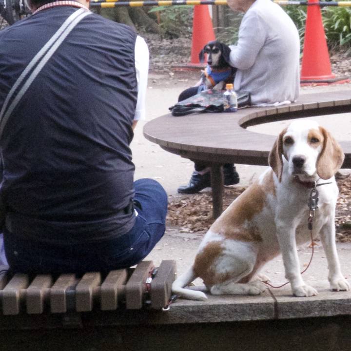 81eb0d33 4703 4c00 995d 1f7690fe207c