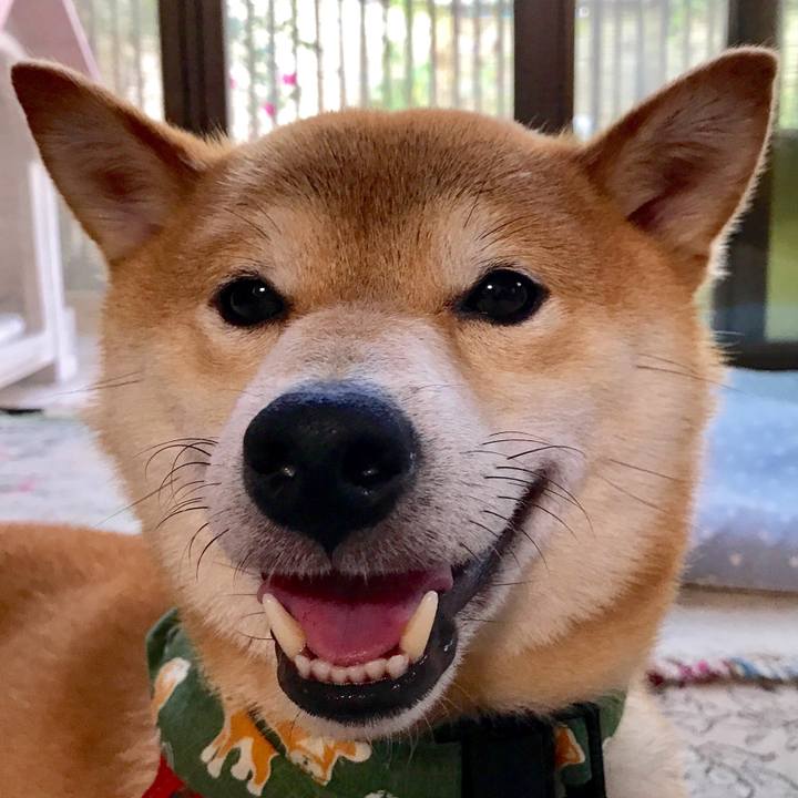 81eb23b5 ee1e 4896 b59d 30a4f8b7c697