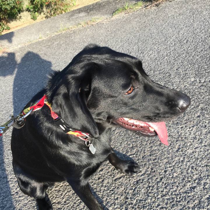 81eb7ba7 a848 495c 88ba 0e3b8a5039f8