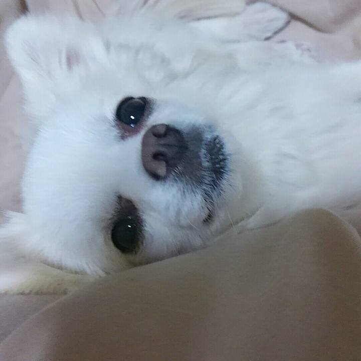 81eb8cb6 e2d8 41d6 8a44 e665b47309df