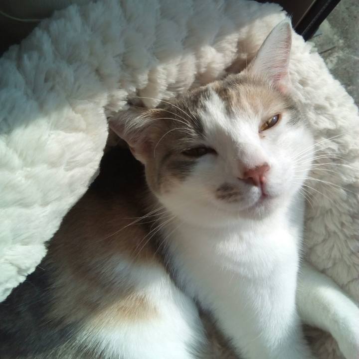 81ebfa47 f823 4ffb 9e86 cc45aa5bd20f