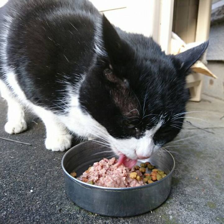 81ecd556 dcc7 4778 ba59 12eb2c75b4ba