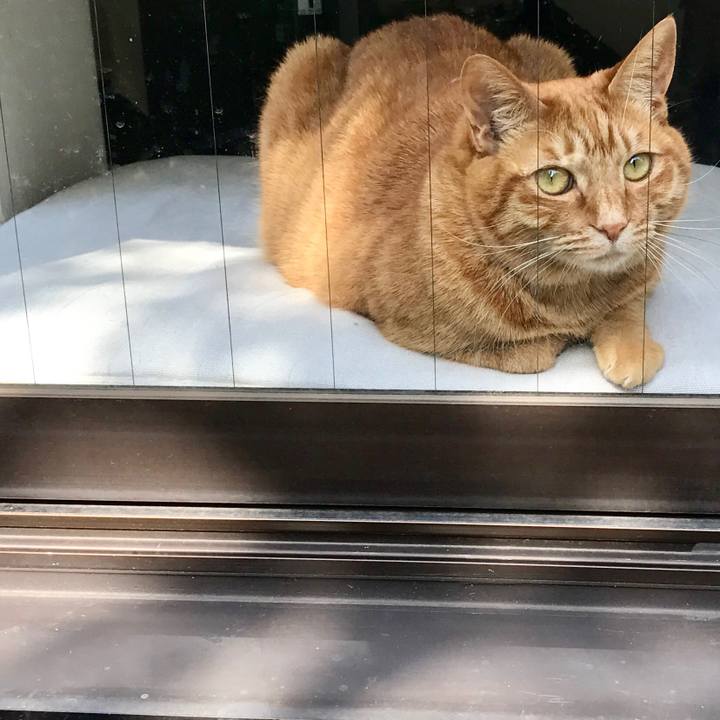 81ed0de1 709e 4869 9a47 6611111a602e