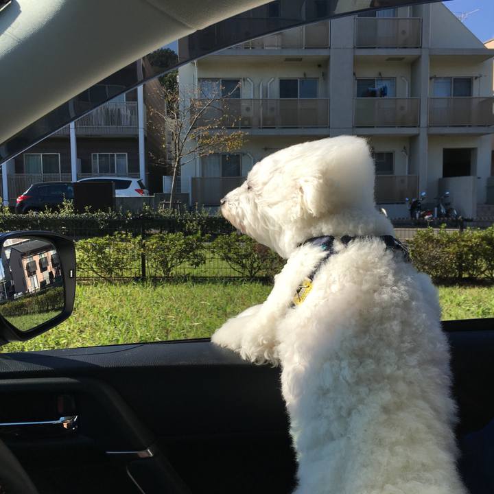 81edf27c 91a4 4605 9773 4e13e4fdbdd5