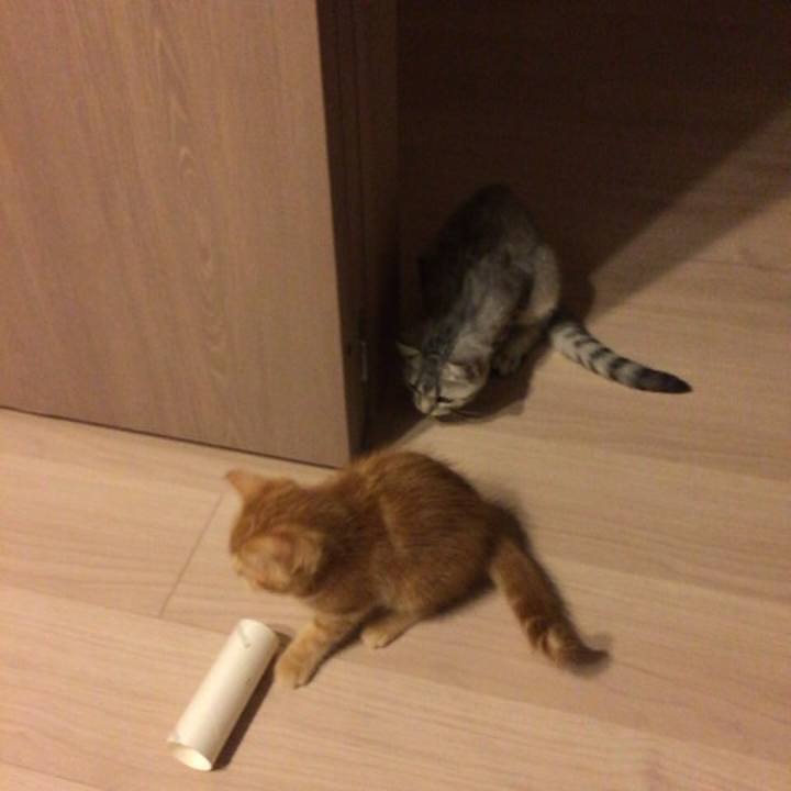 81ee171e 4810 4291 a238 36b3926d3038