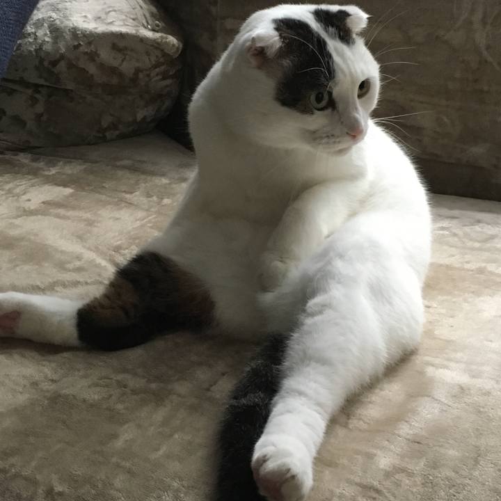 81ee61b0 21f2 479e ae4f 89831f5bee1f