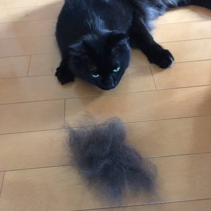 81ef2ebf 149d 416e 9b63 cdbb4b1600ce