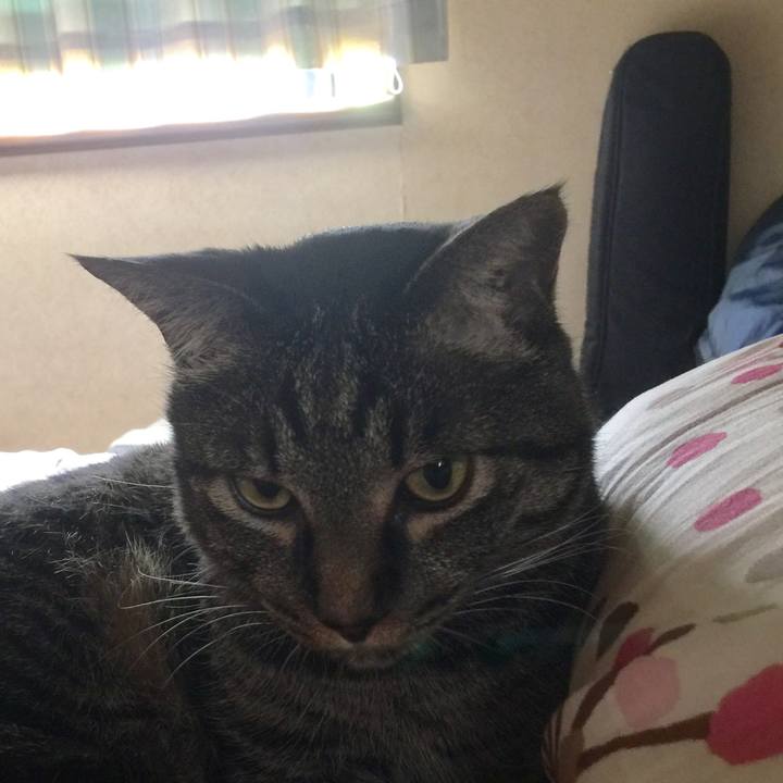 81ef5c6d 2147 42b9 9fda 542e49d4cc45