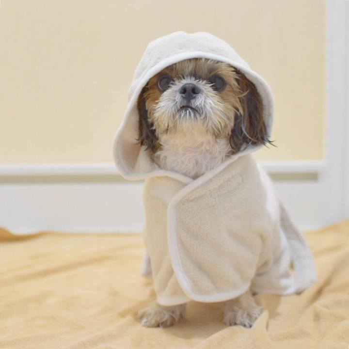 81ef68b8 bbbe 4f6b aba1 4ff91fec99bd