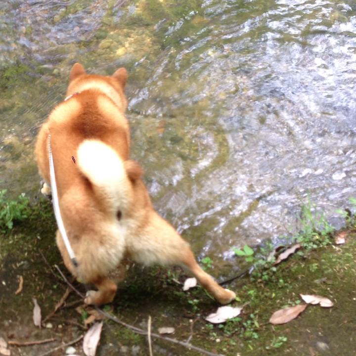 81ef6ba4 0c1d 4ae4 93f3 80a04c2b2fd2