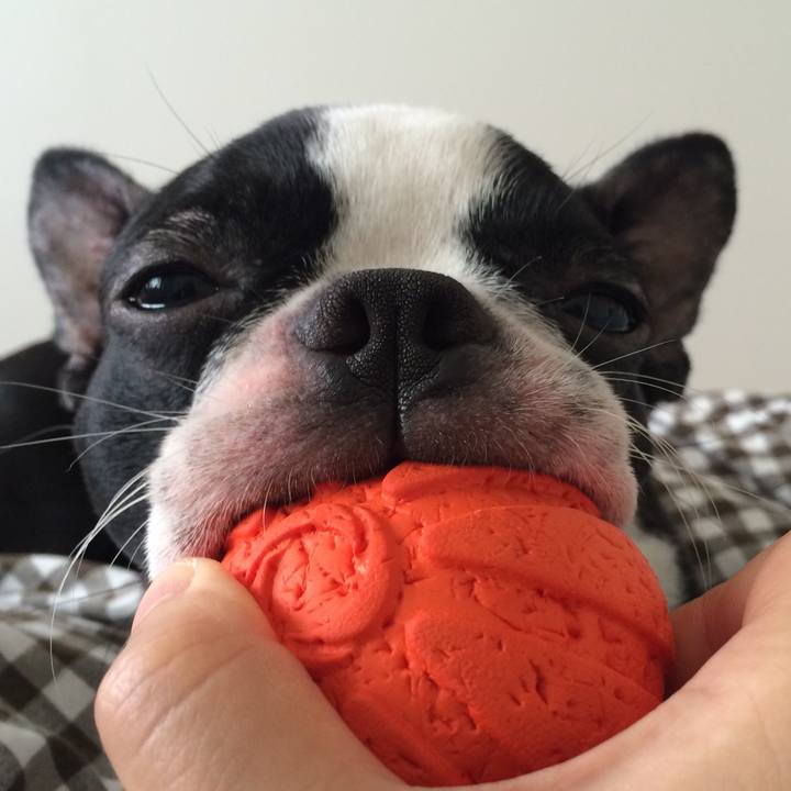 81ef7c4b b9b0 4f2b 9339 44b013fde7fe