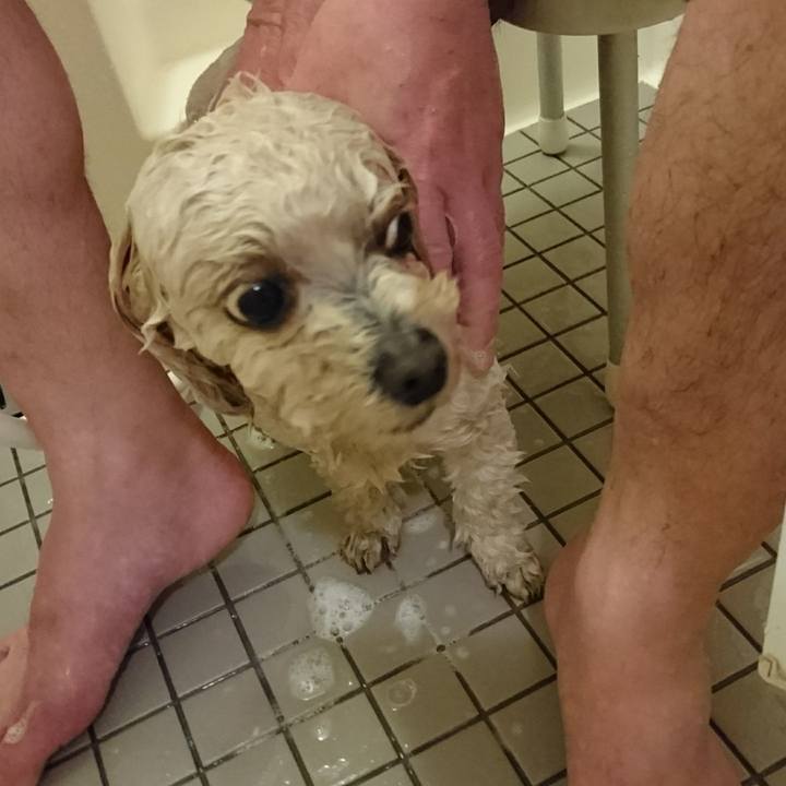 81ef8f82 a530 451e b396 4bd649215227