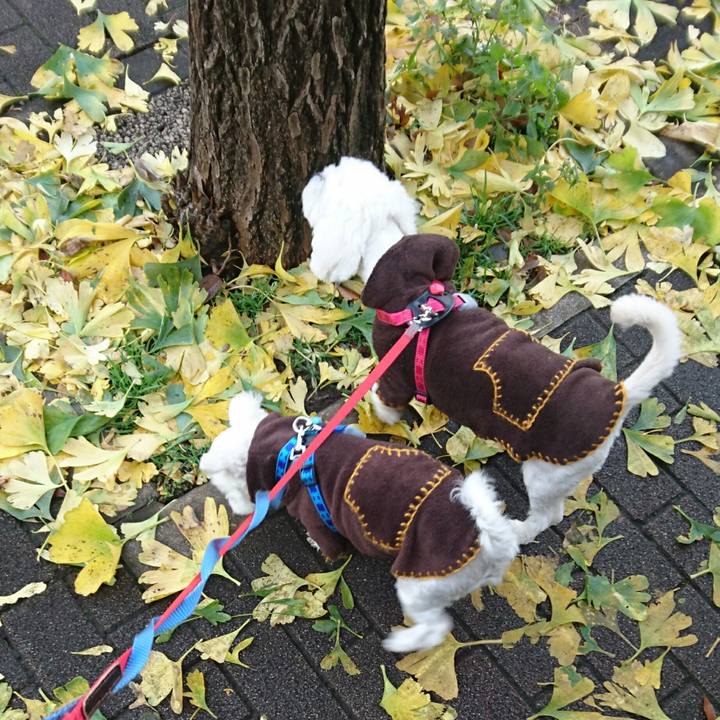 81effb76 82c2 4286 88a7 78f7c2643c98