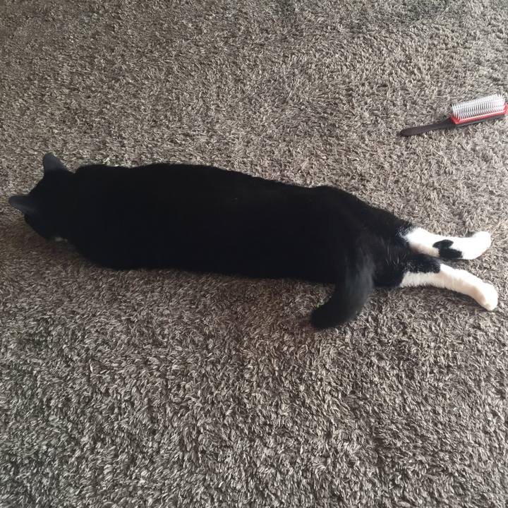 81f01a56 8e7c 40f2 9832 e2318bdb9588