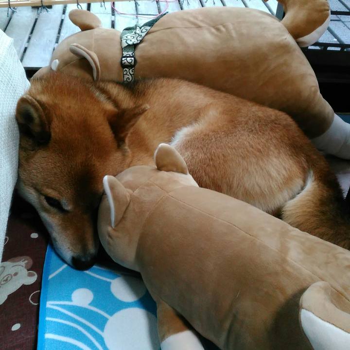 81f02a49 b40e 4c48 8aec 965810aa38b2