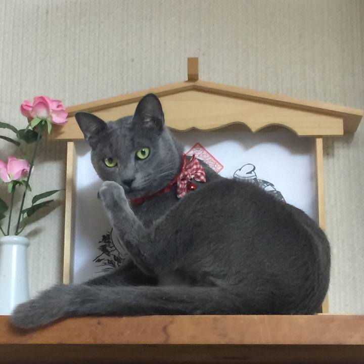 81f03a5e fe62 4dc3 acdf fb04b15a55b3