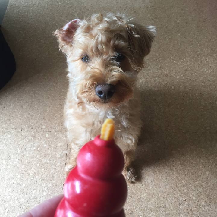 81f07a55 976b 4ef1 8162 50916b36dbd3