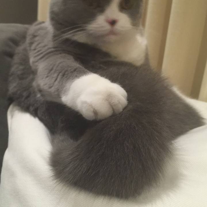 81f12c6f 6716 44f7 8c5d 2298c547b2b9