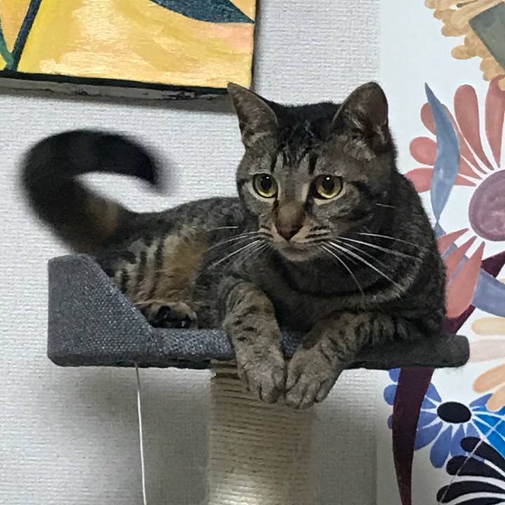 81f17c19 48e3 4f7c 8630 ac1c107417a5