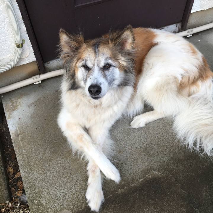 81f18290 c0af 40f6 8e03 e2da6952eff4