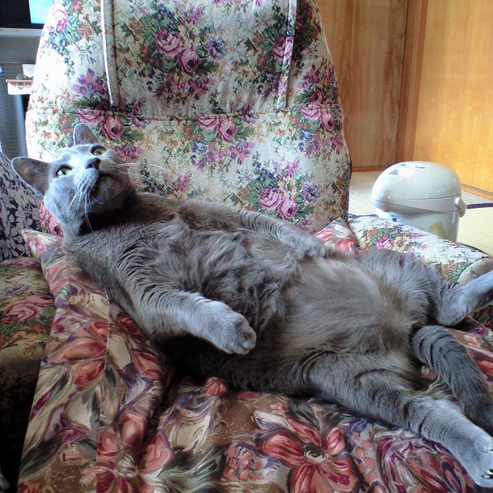 81f2a9d7 2d39 4efc 947d 60a3a8730152