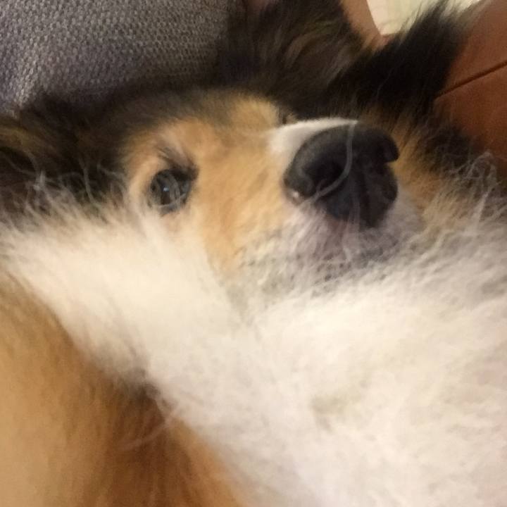 81f304d0 e9a1 48f1 b59d e8f300622100