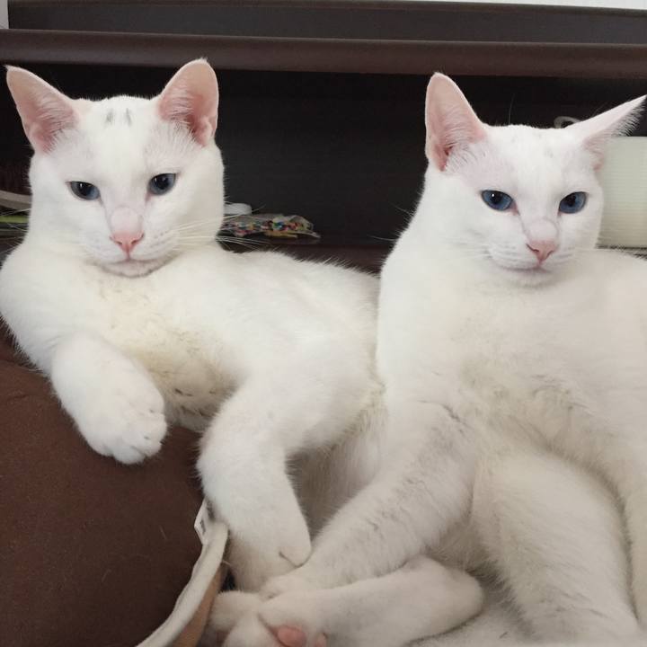 81f35edf dcf3 408d a2e1 3bcf758ec009