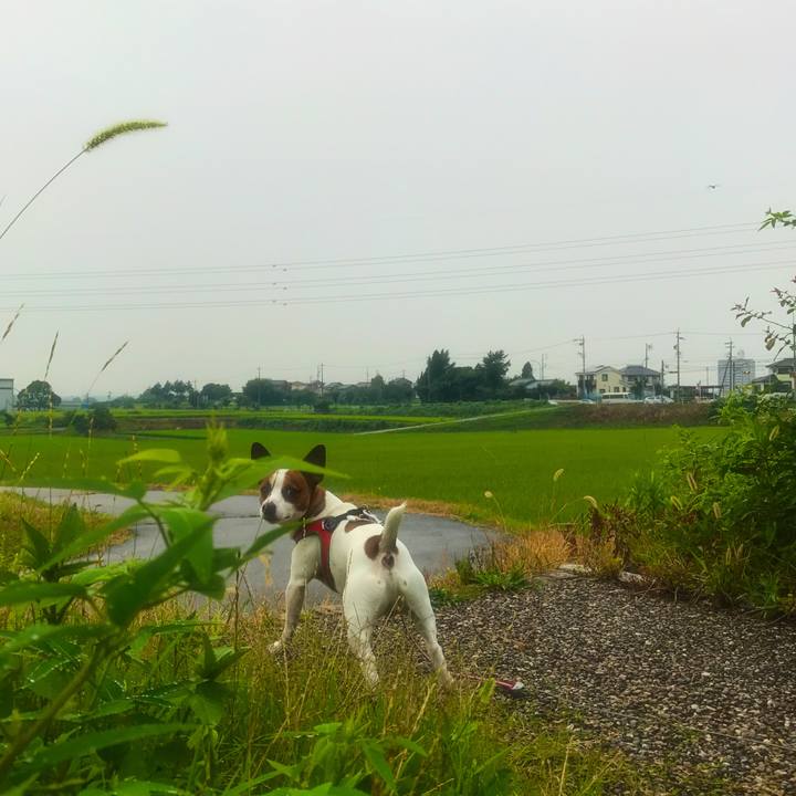 81f52180 30d5 4d1e a2ea 09a2b8804335