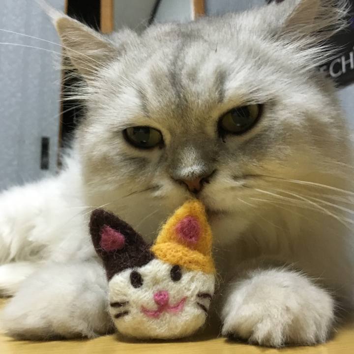 81f59fd7 ad55 45a1 870f f9ce91232e64