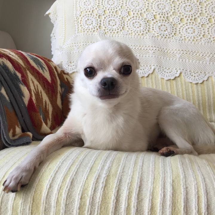 81f5a2b1 d82d 44e5 980b 5ad6930e2239