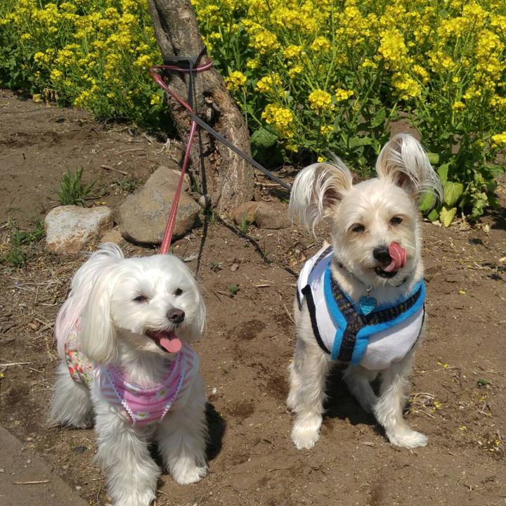 81f5d93a f14a 4d54 86ed 3c175e6979fe