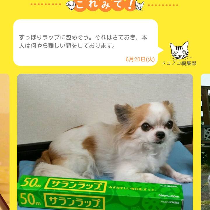 81f5e5ee 8a69 4a71 8eb8 985695758051