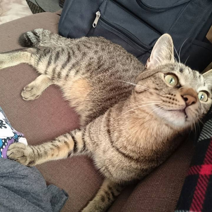 81f61af7 d7e0 4cc2 b43d 8534d106038e