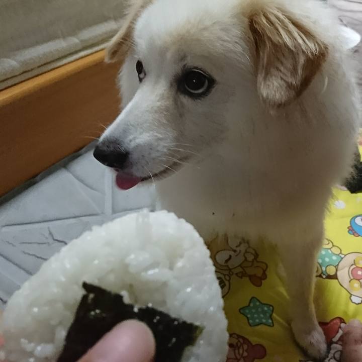 81f6476b 9d1f 4501 8511 dd703a28cb32