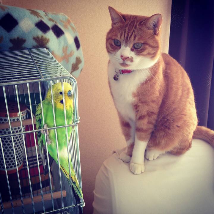 81f6a172 92c8 4912 a400 488be89c4deb