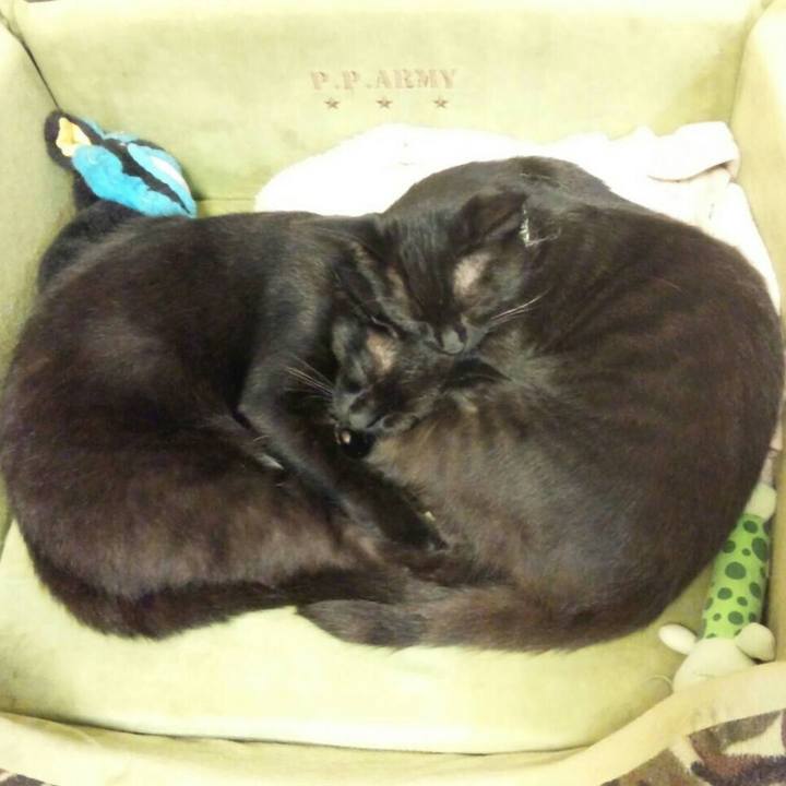 81f6dd1a bc3f 4840 b344 c0e12465b18b