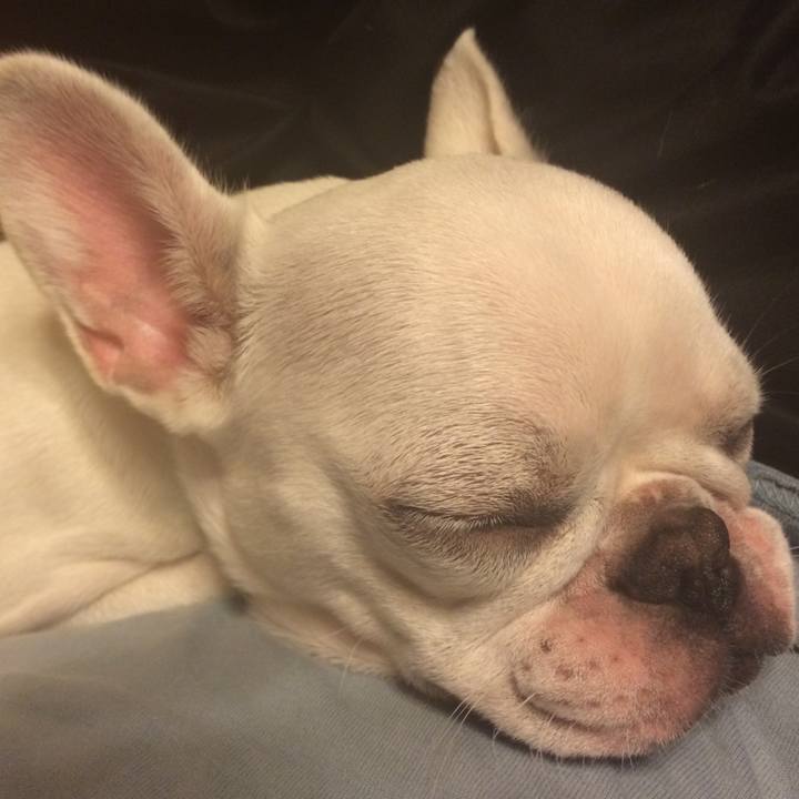 81f74556 308c 4542 9cfa 5cb1076040da