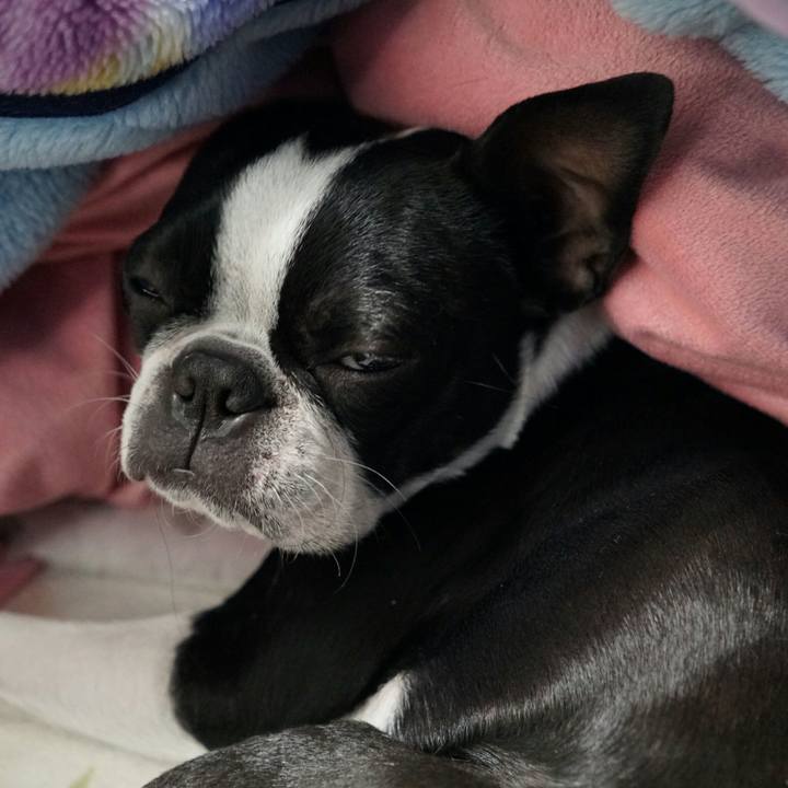 81f7f2d0 b171 41c9 9d09 856fccaa55fe