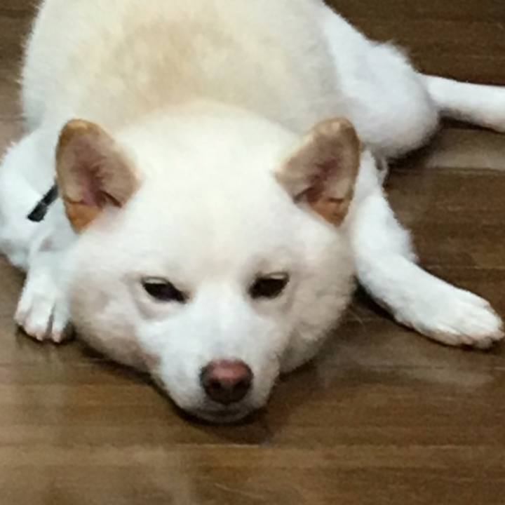 81f842bb b5bf 486f af61 b3b10ecfd528