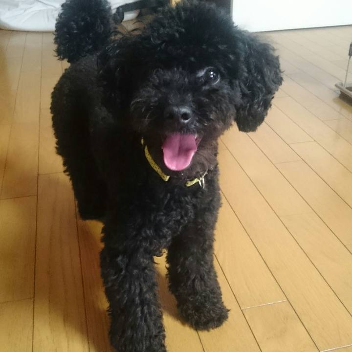 81f9fe3d 1778 473c 88f2 36b38ea0eedf