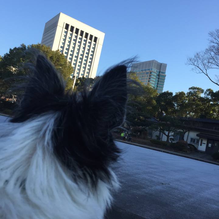 81fa22b2 d709 40e8 aec2 66aceba3f915