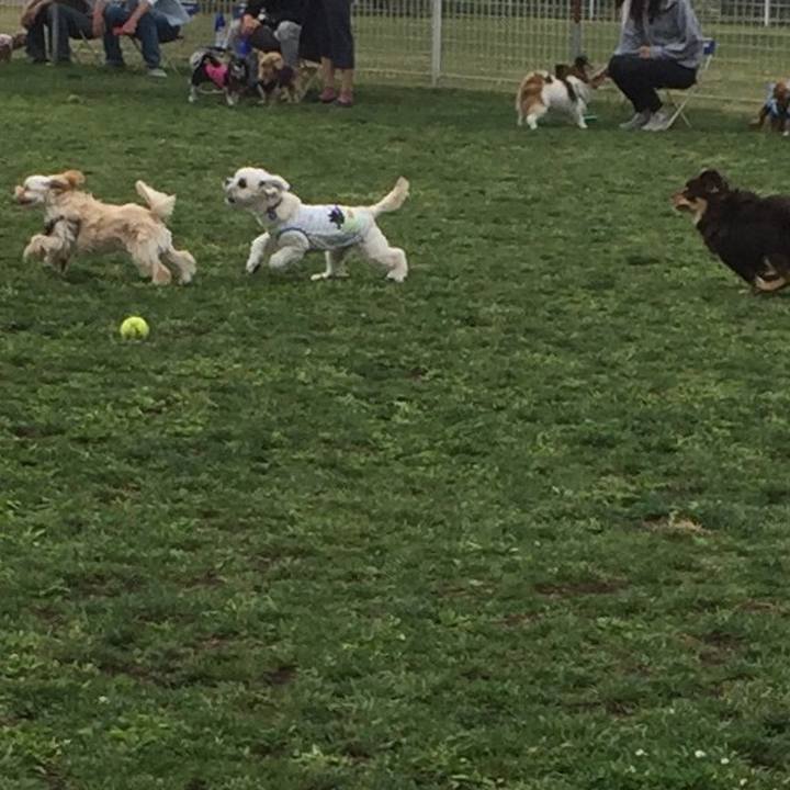 81fa8075 b3ce 48bf a024 263337e70c9e