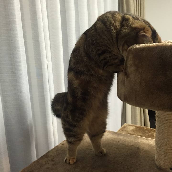 81fad731 bcb1 4516 b641 6865566e4e36