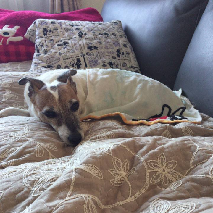 81fb0d14 8e92 4557 a704 c4fb14d4dbf6